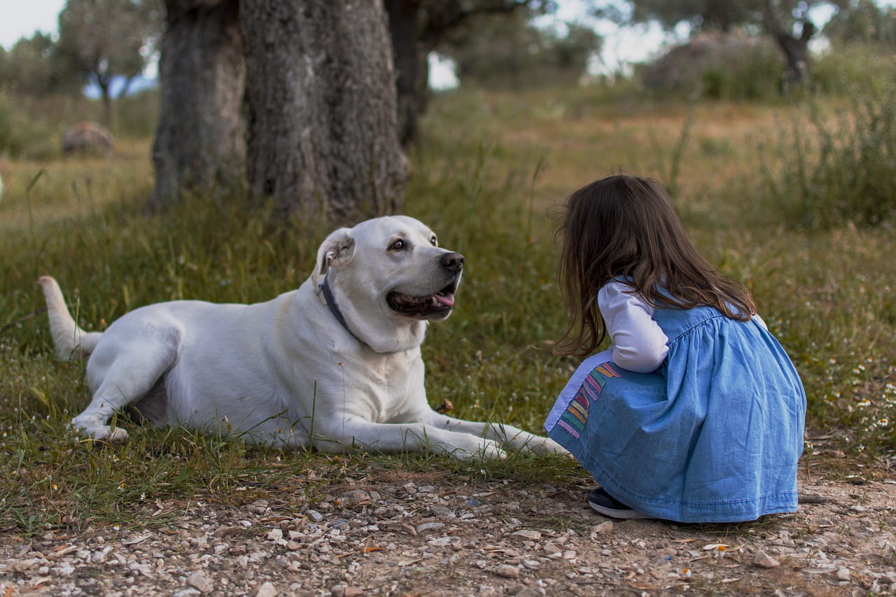 dog training for kids – Image 2