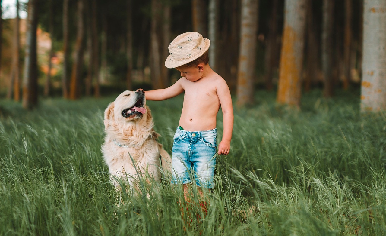 dog training for kids – Image 3