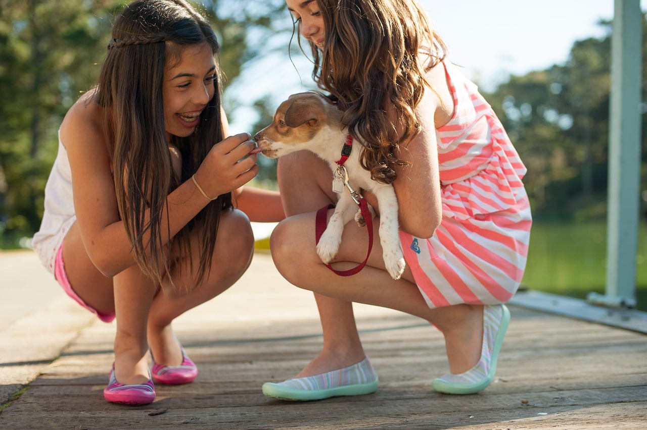dog training for kids – Image 2