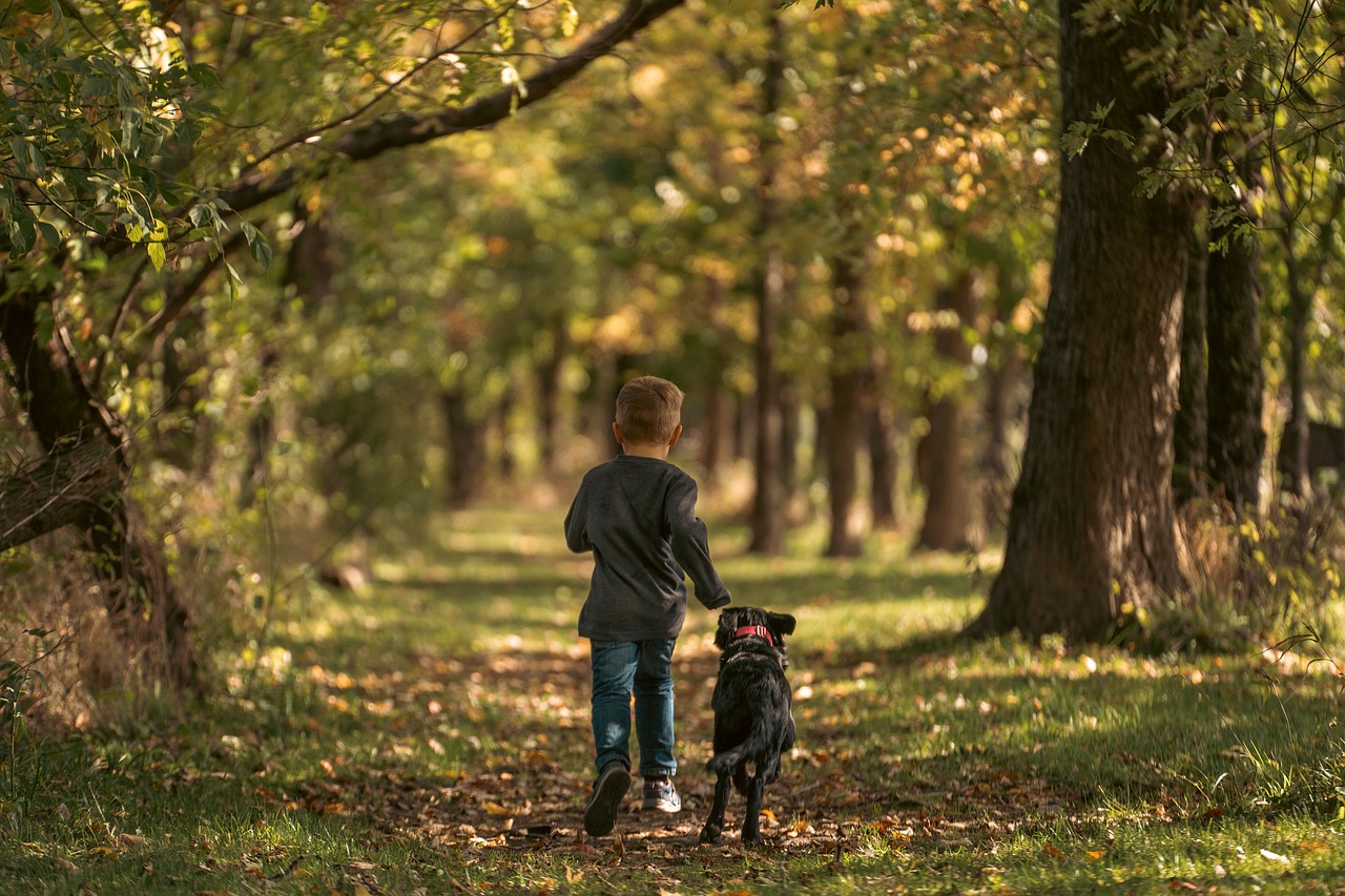 dog training for kids – Image 2