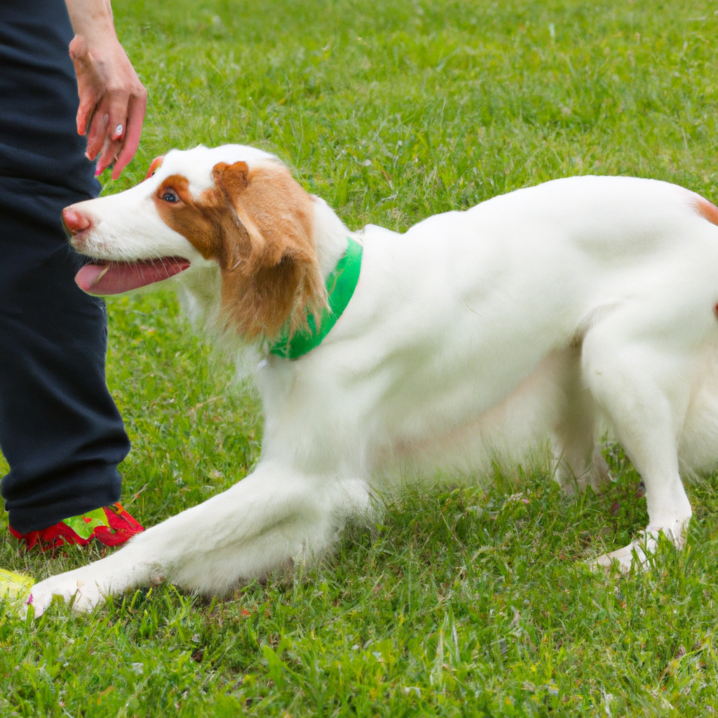 dog training for kids – Image 1