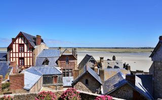 Learn WordPress: Mastering the Basics of Website Creation